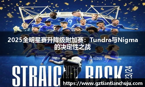 2025全明星赛升降级附加赛：Tundra与Nigma的决定性之战